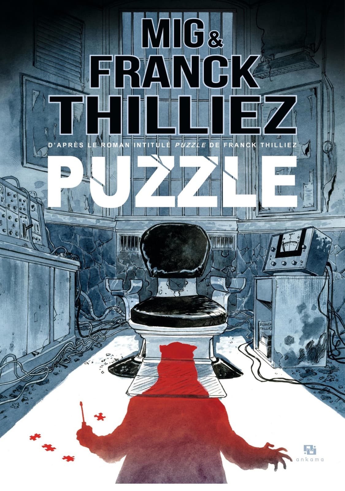 Puzzle - Cover