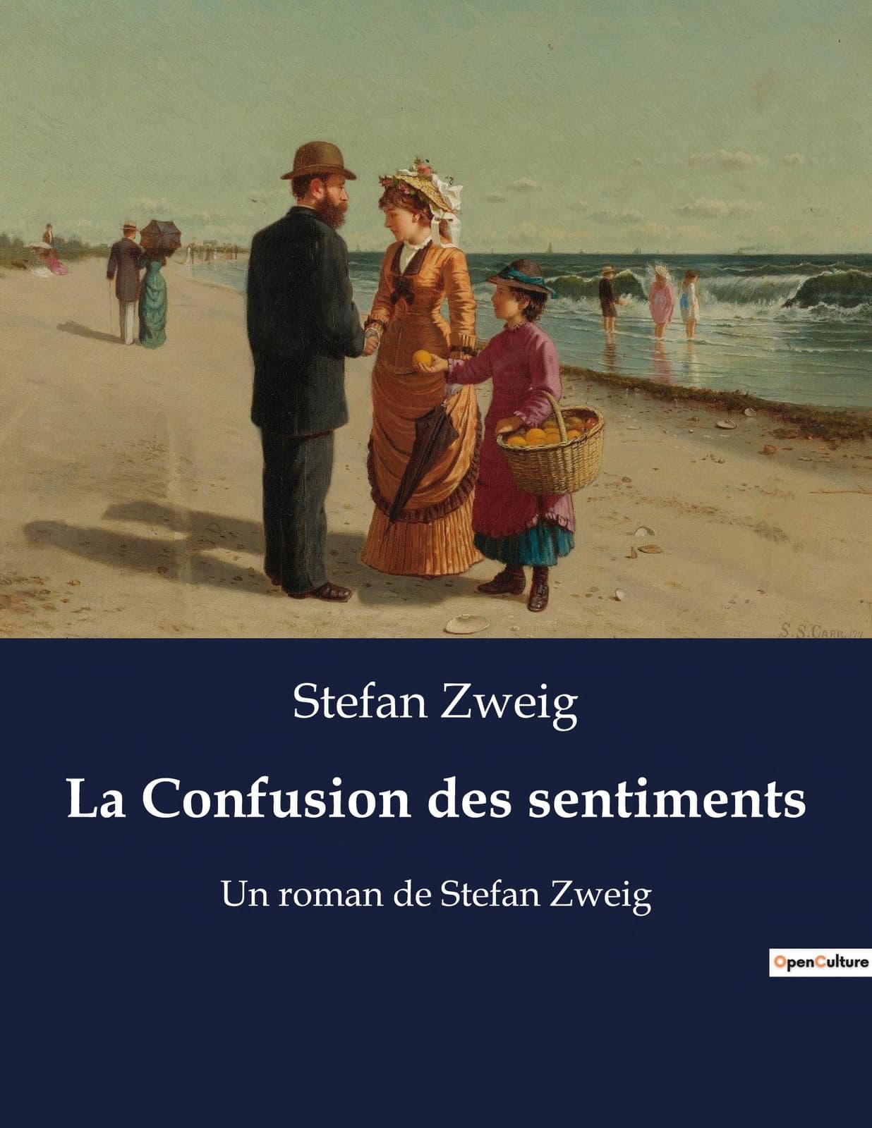 La Confusion des sentiments Un roman de Stefan Zweig - Cover