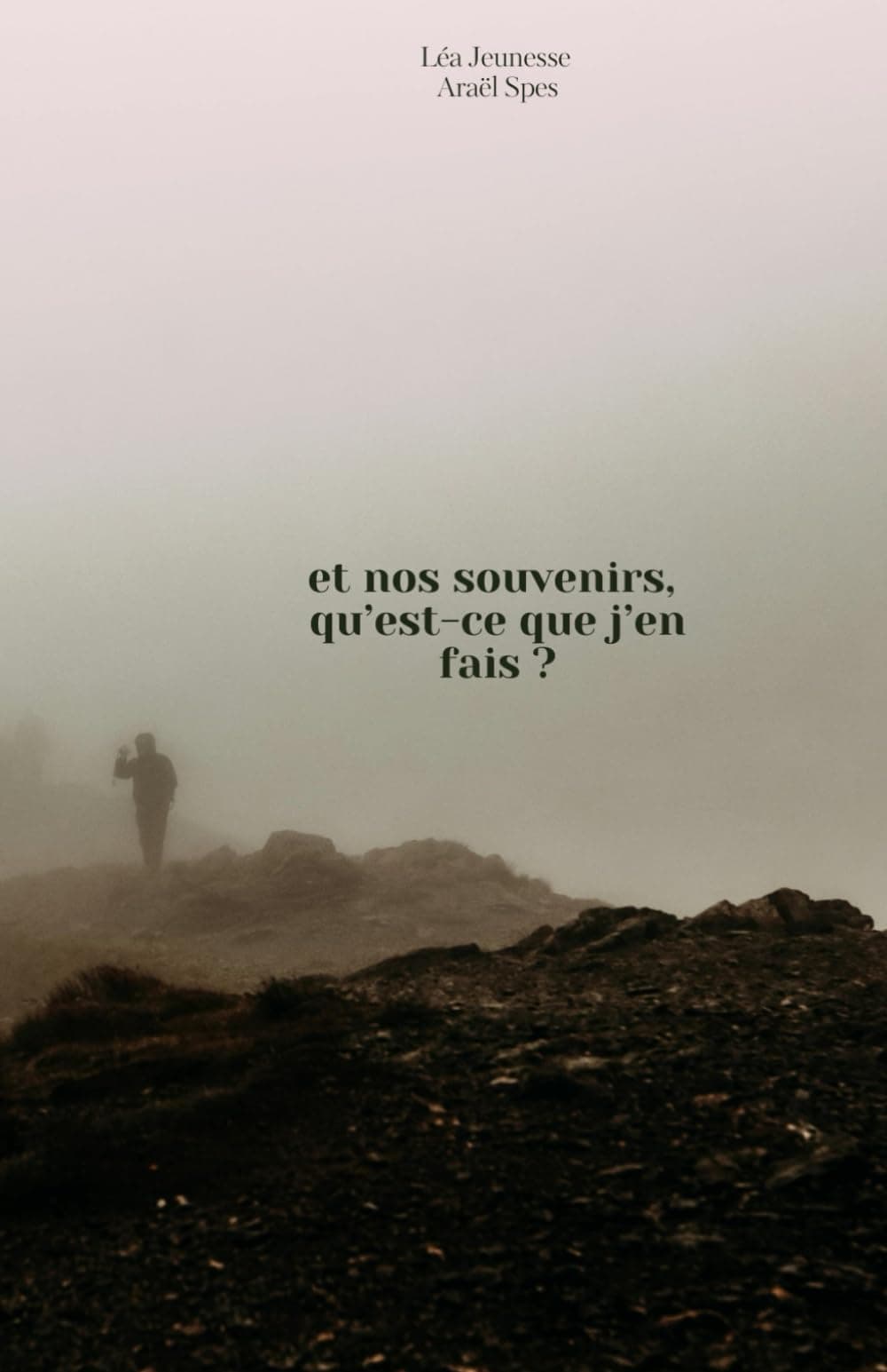 Et nos souvenirs, qu'est-ce que j'en fais ? - Cover