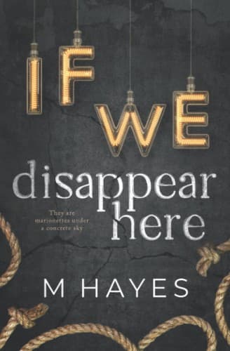 If We Disappear Here - Cover