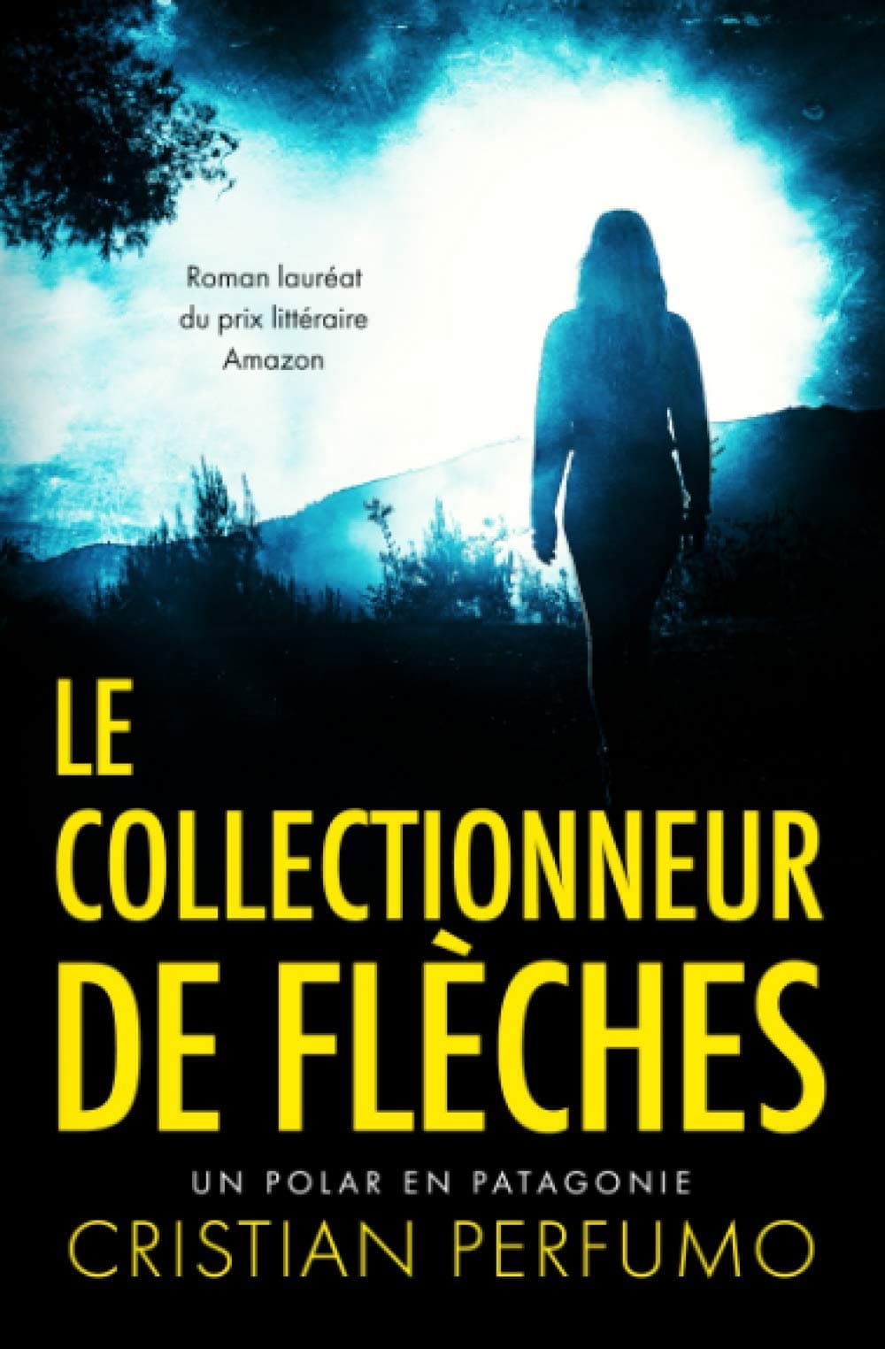 Le collectionneur de flèches
