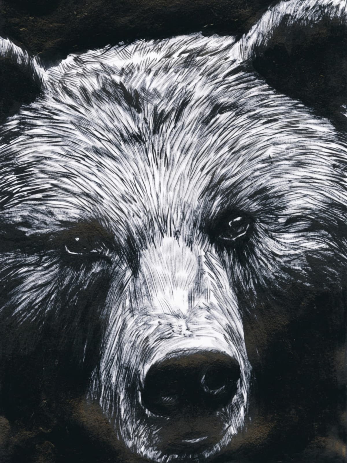 La Dernière Reine - édition luxe - Cover