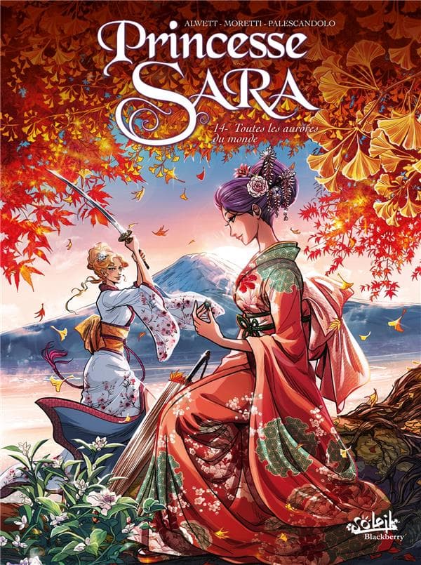 Princesse Sara Tome 14 : toutes les aurores du monde - Cover