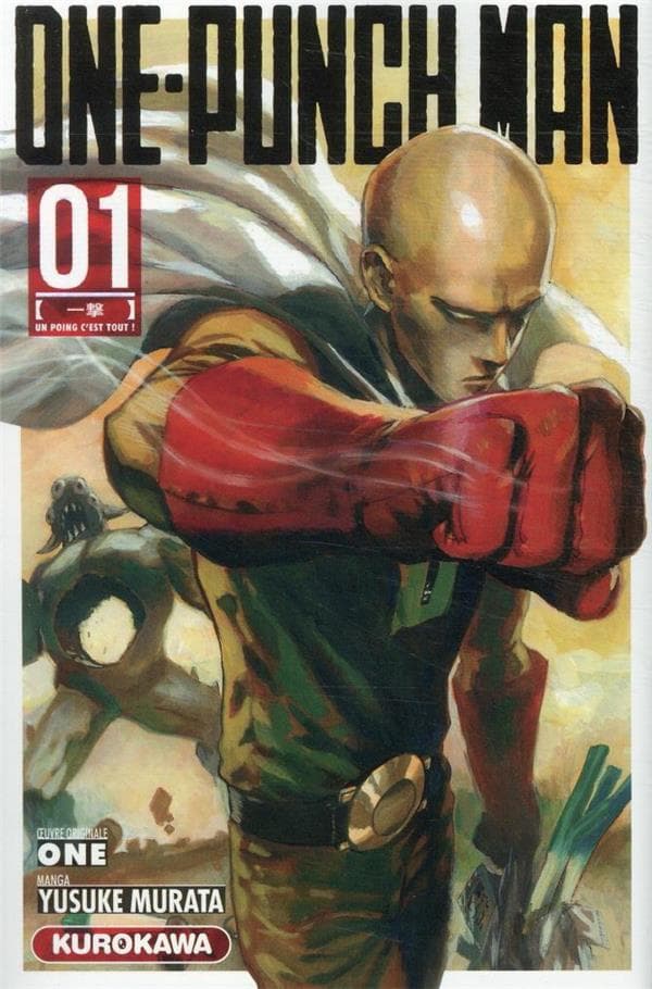 One-punch man - Memory Image