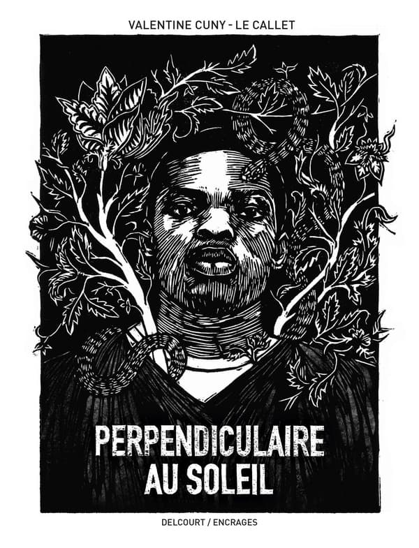 Perpendiculaire au soleil - Cover