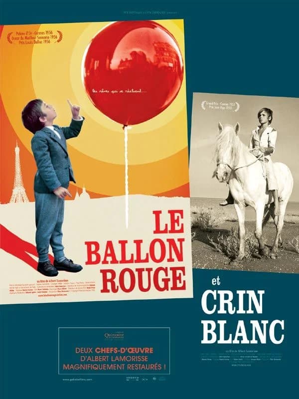 Crin blanc: Le cheval sauvage - Cover