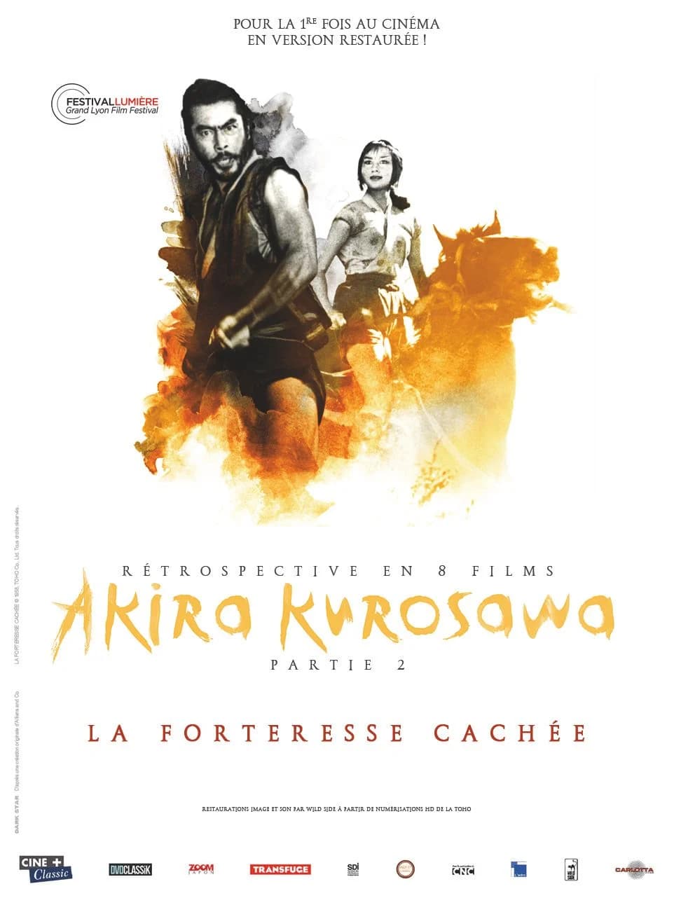 La Forteresse cachée - Cover