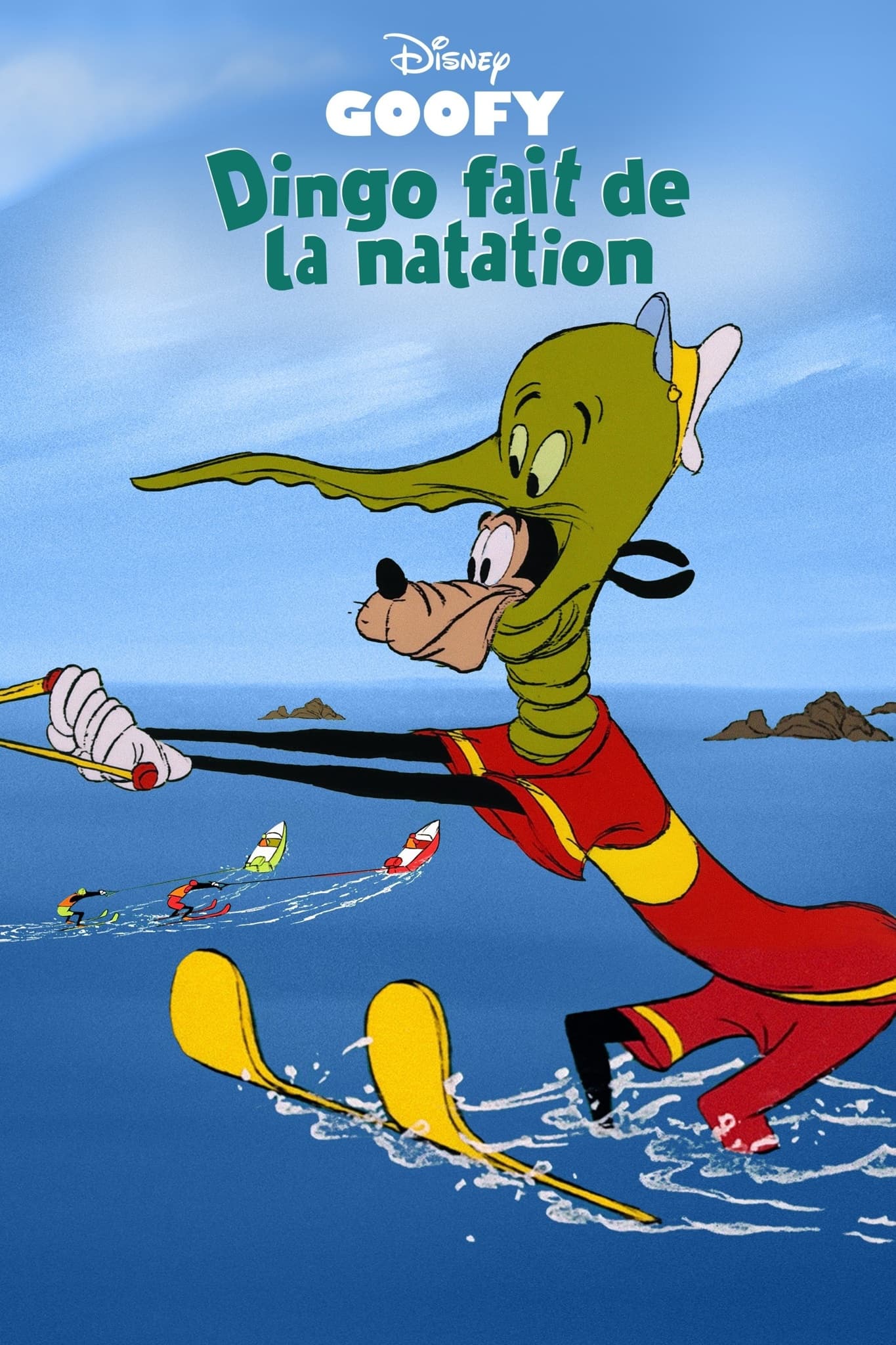 Dingo Fait de la Natation - Memory Image