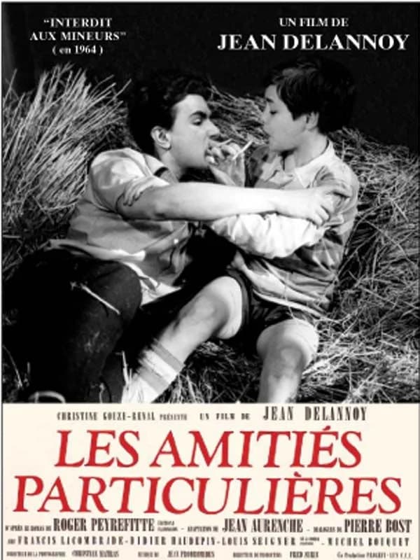 Les amitiés particulières - Cover