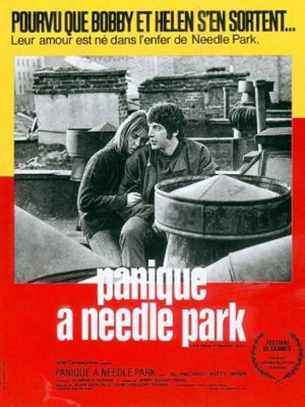 Panique à Needle Park - Cover