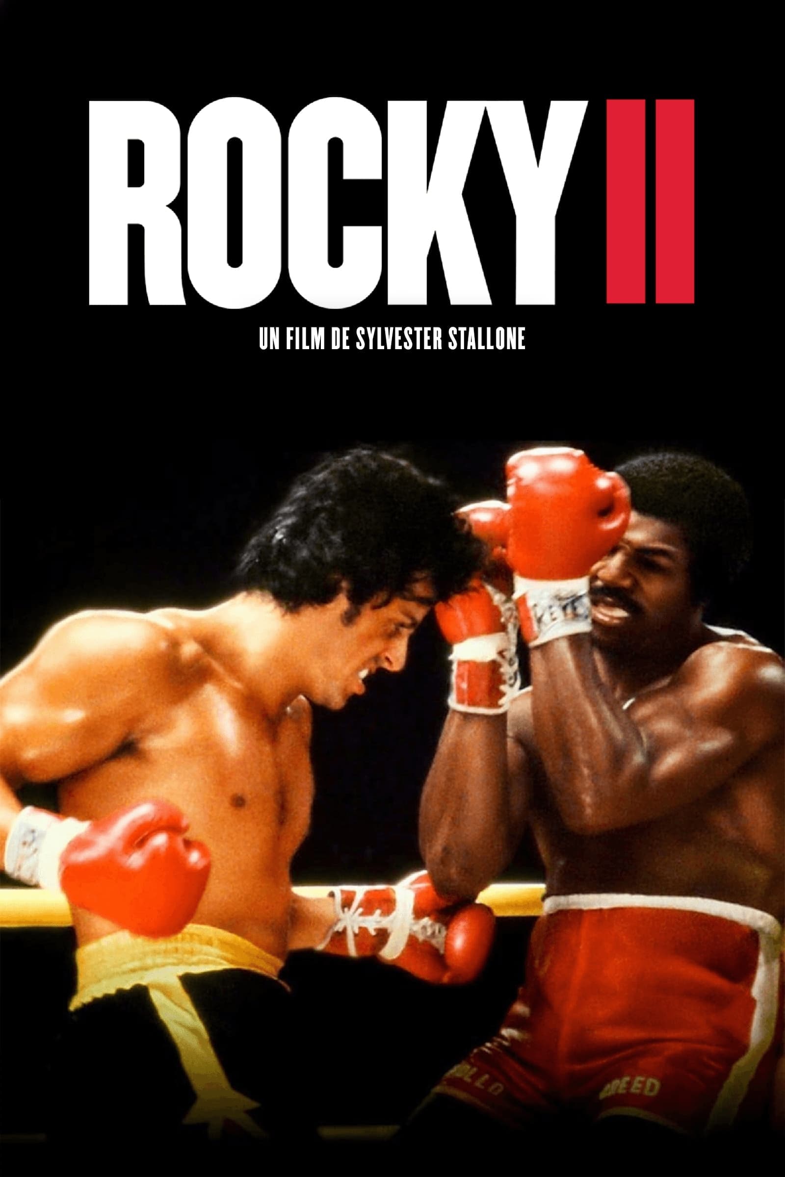 Rocky 2, la revanche