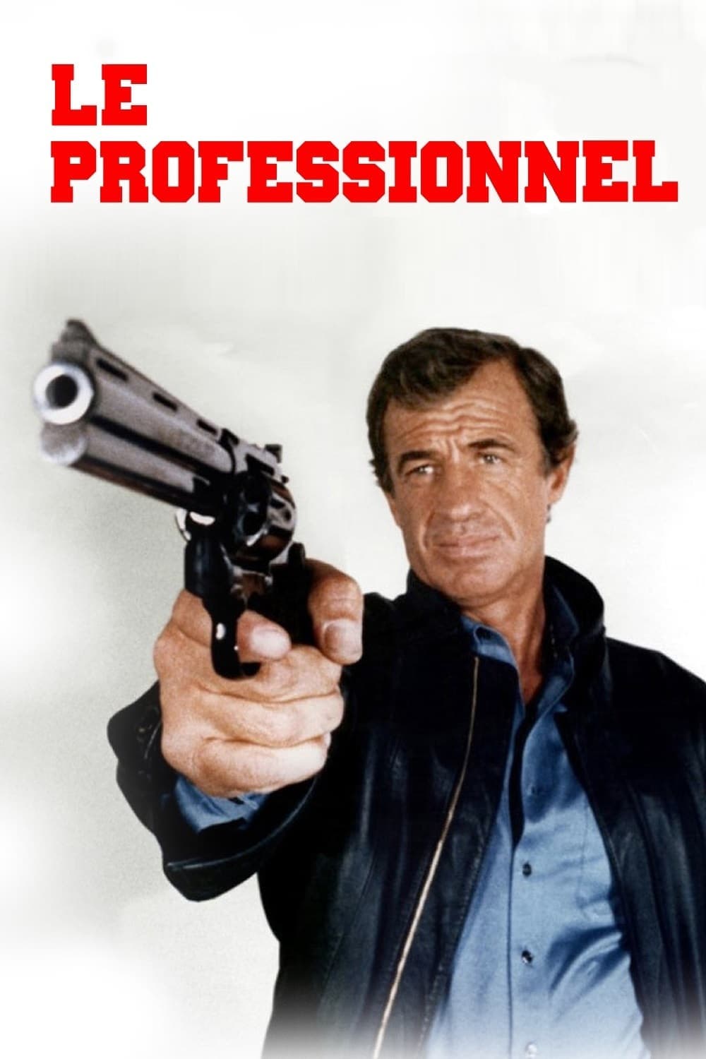 Le professionnel