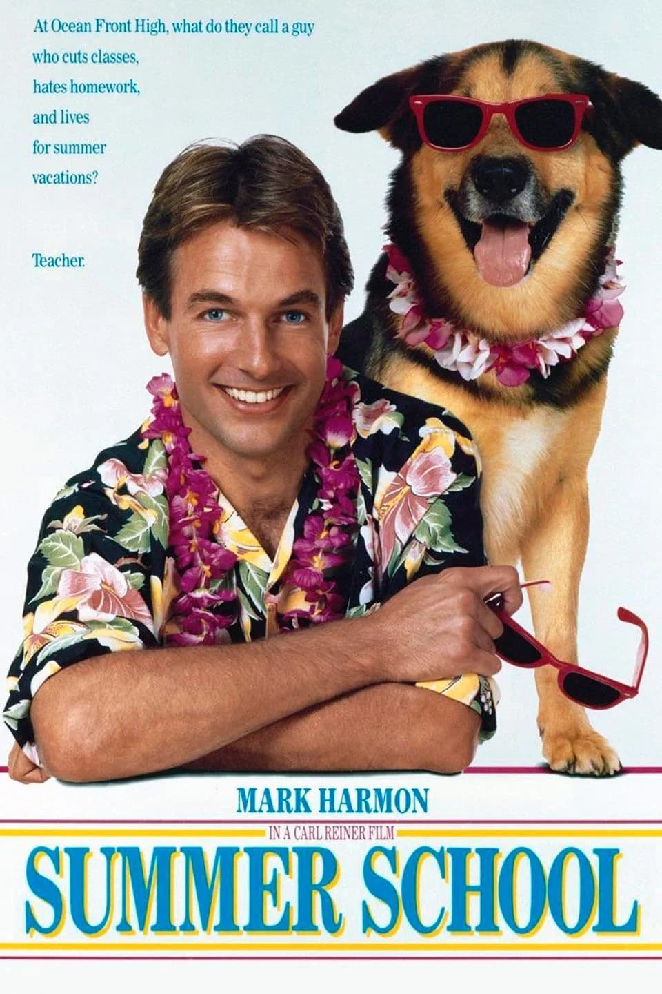 Summer School - Cover