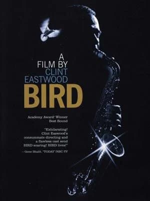 Bird - Cover