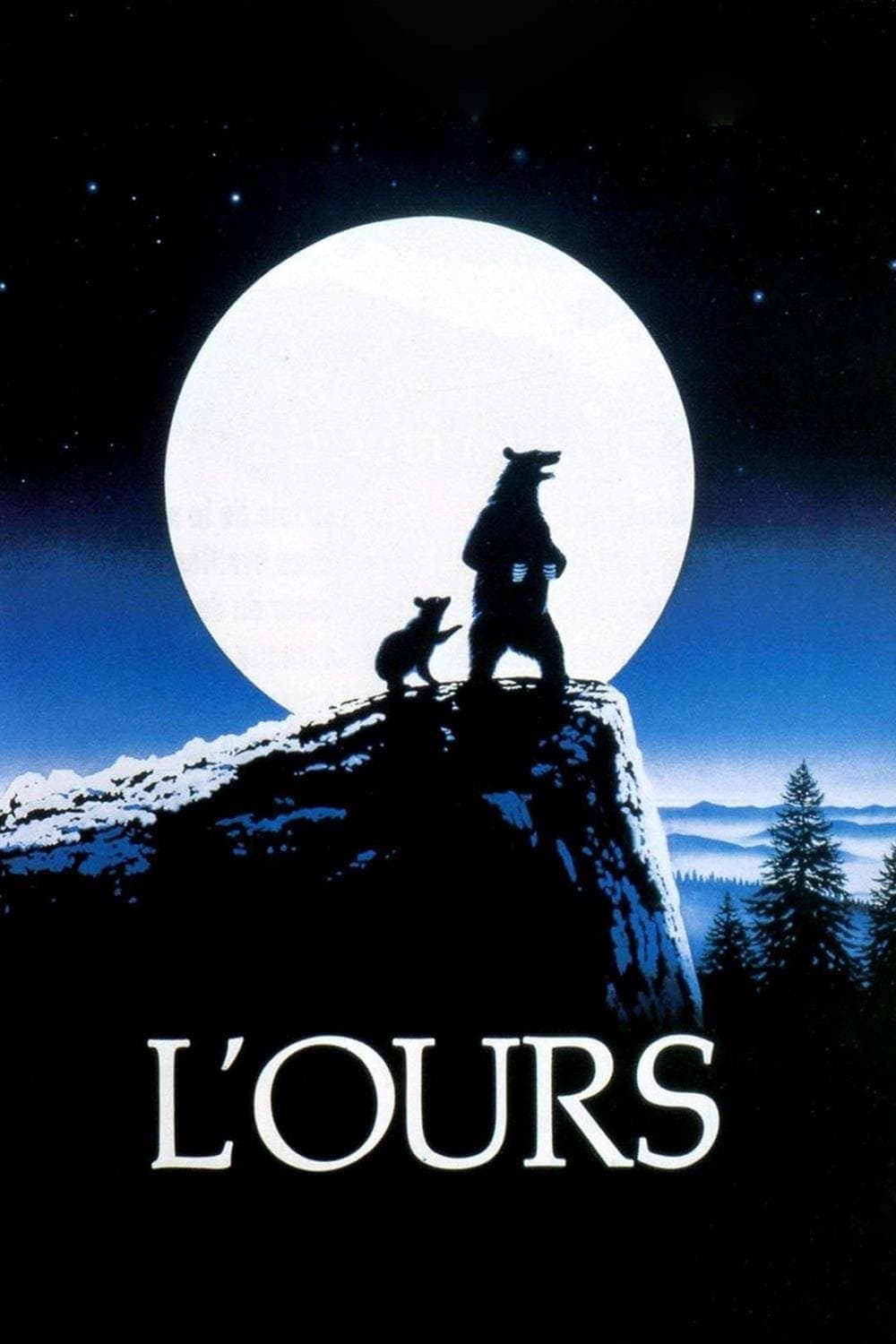 L'ours - Memory Image