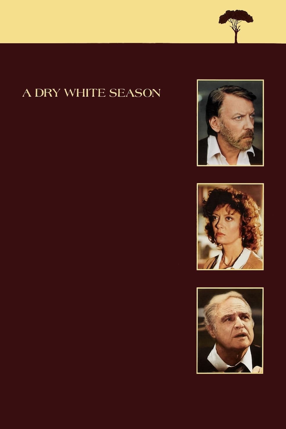 A Dry White Season - Cover