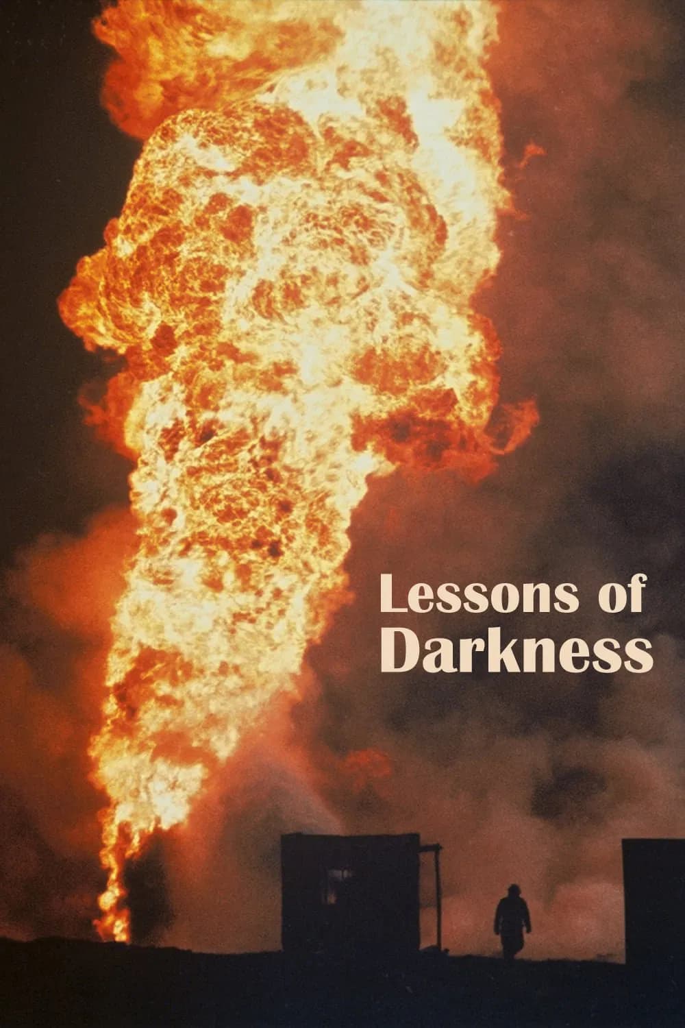 Lessons of Darkness - Cover