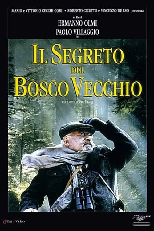 Il segreto del bosco vecchio - Cover