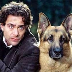 Rex, chien flic - Cover