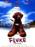 Fluke - Cover