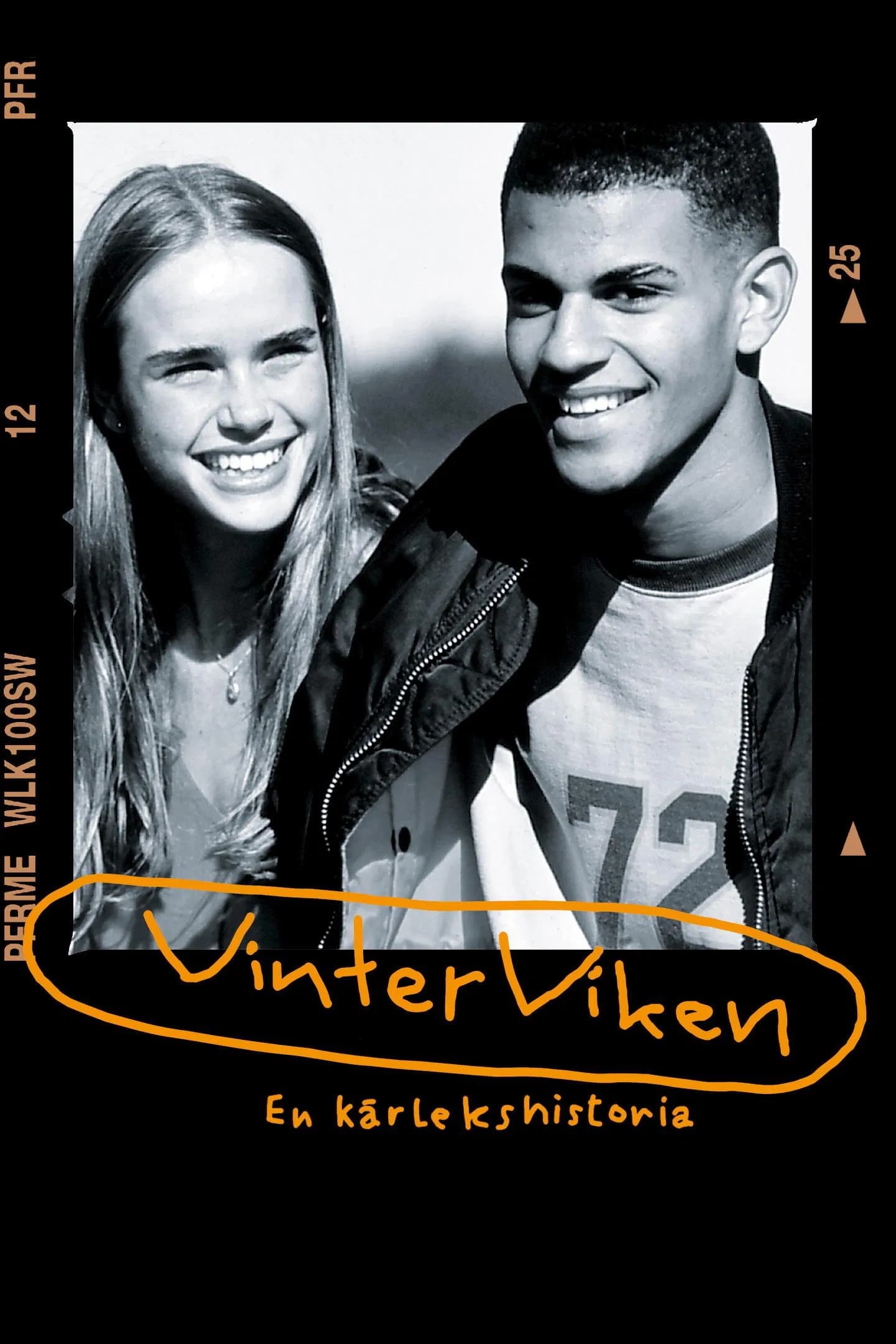 Vinterviken - Cover