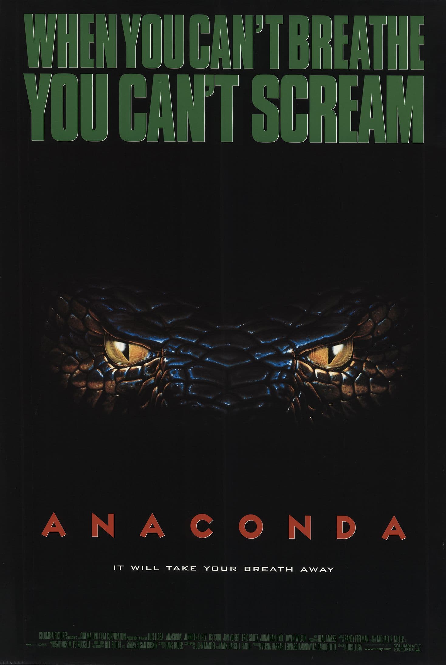Anaconda - Cover