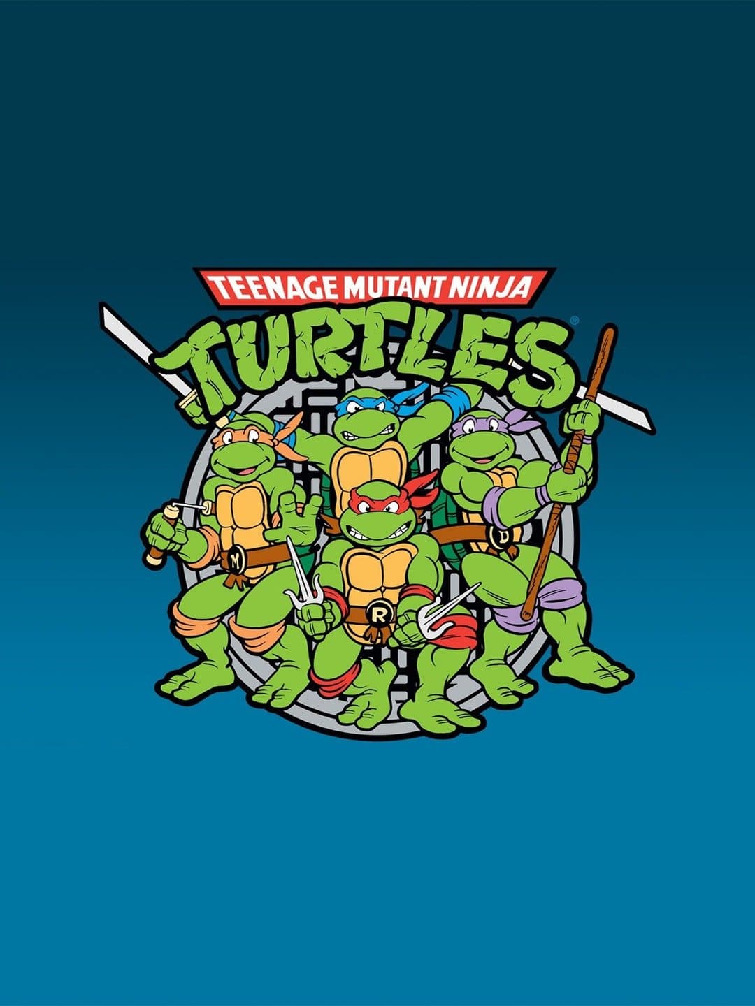 Teenage Mutant Ninja Turtles - Cover