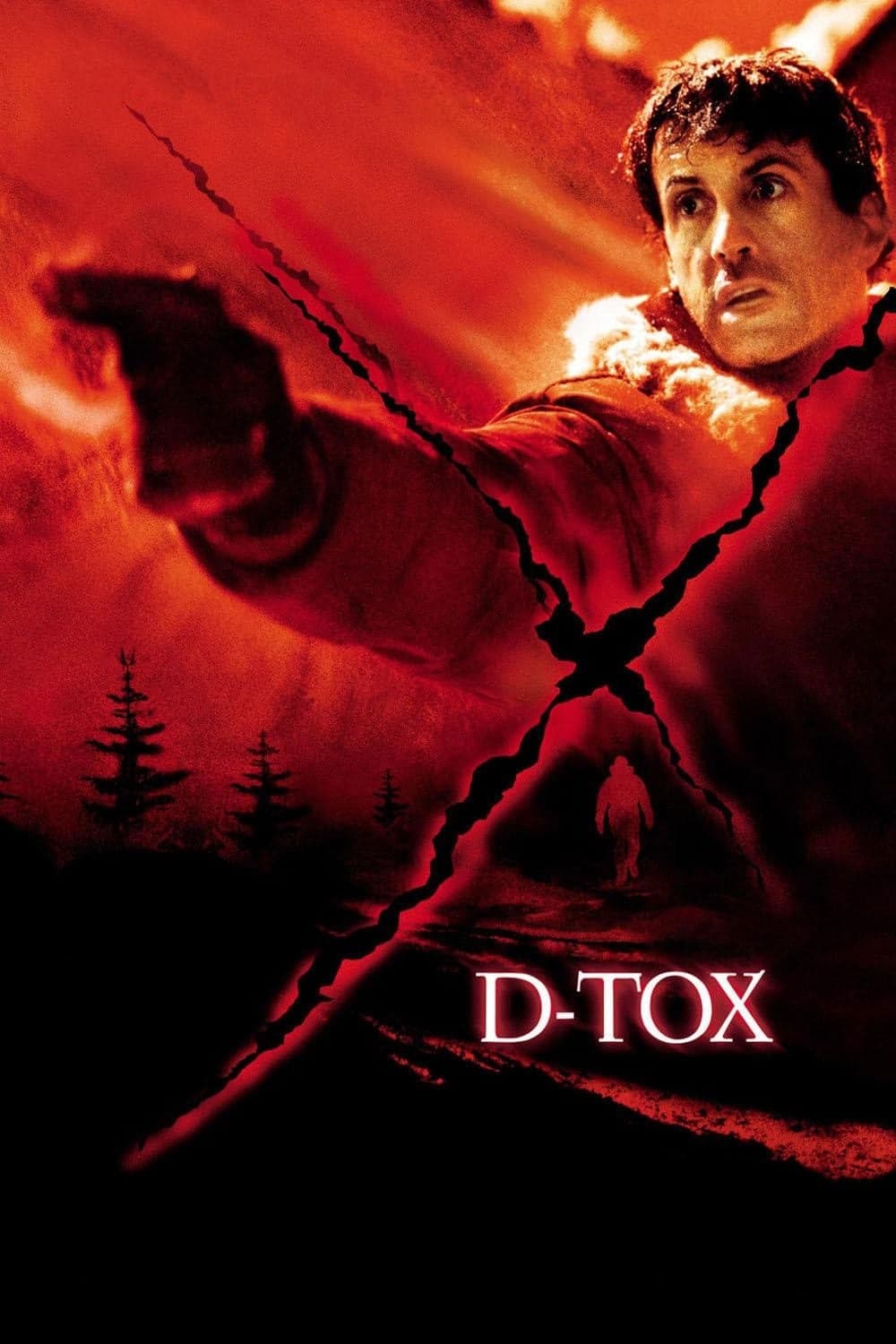 D-Tox - Cover