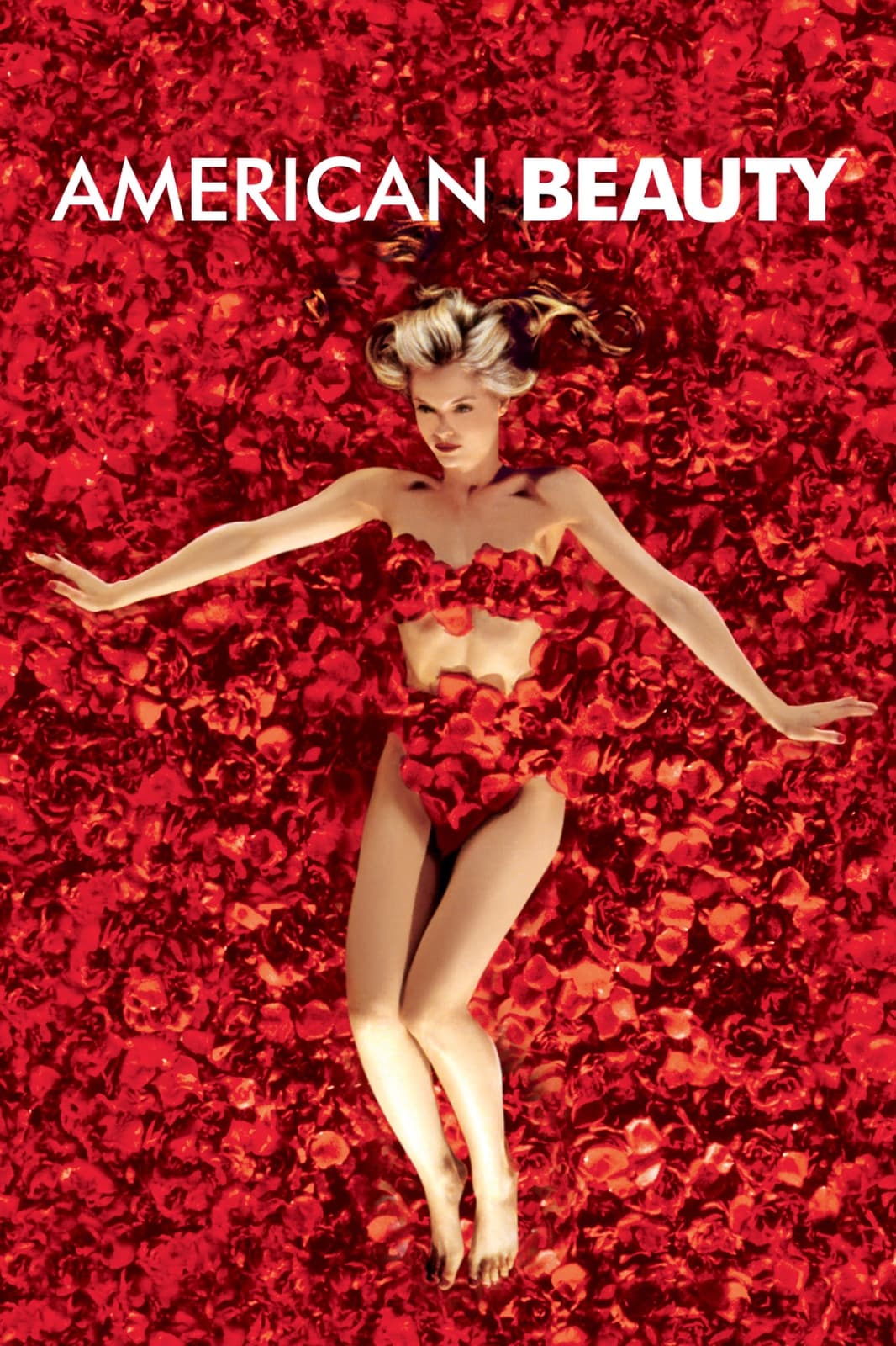 American Beauty - Memory Image