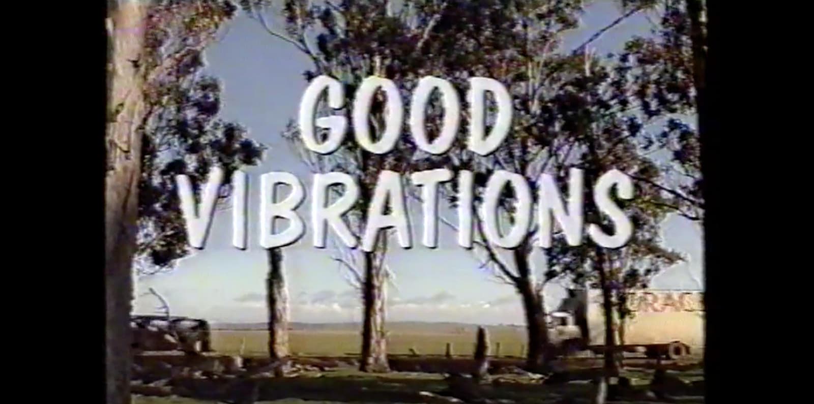 Good Vibrations - Cover