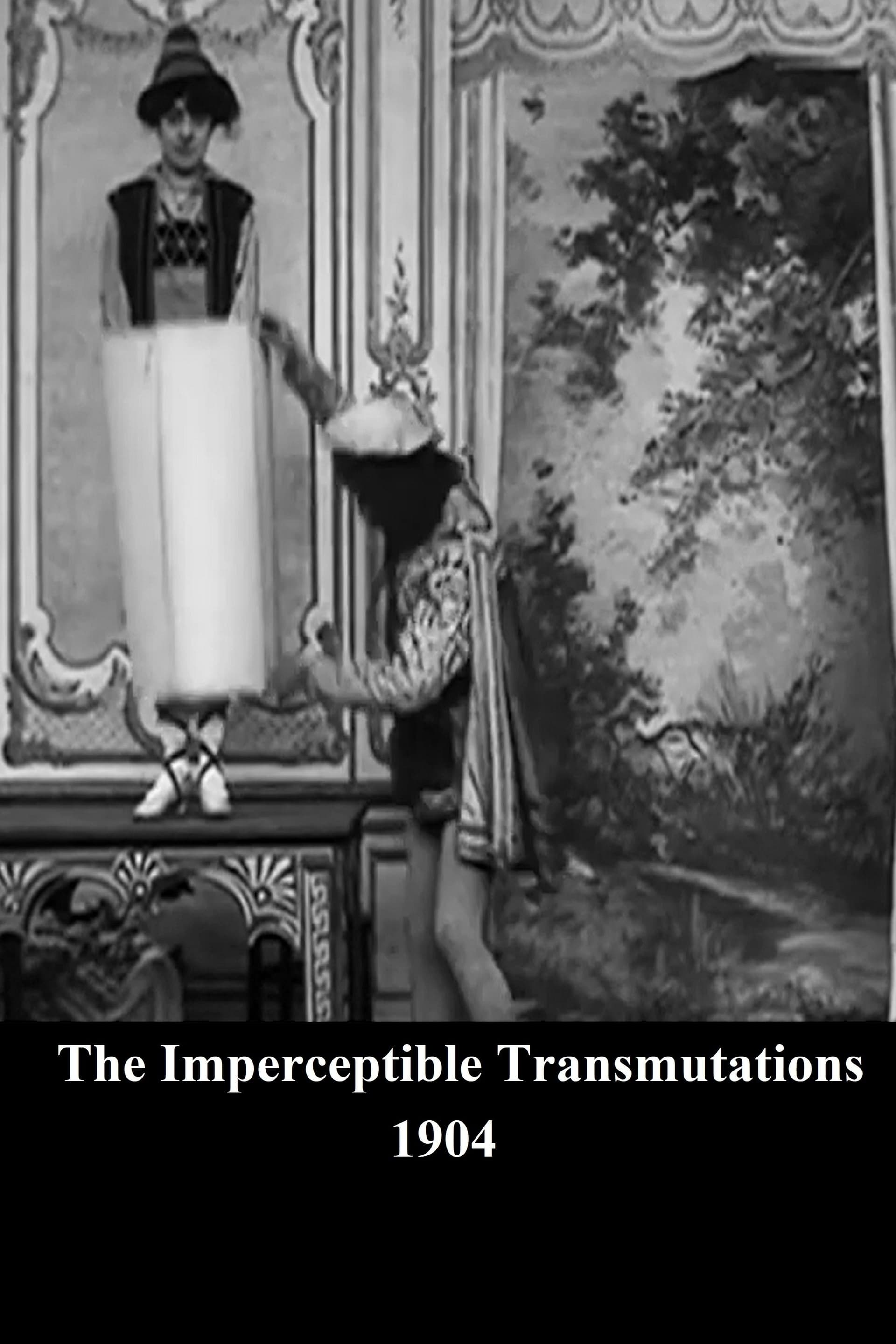 The Imperceptible Transmutations - Cover