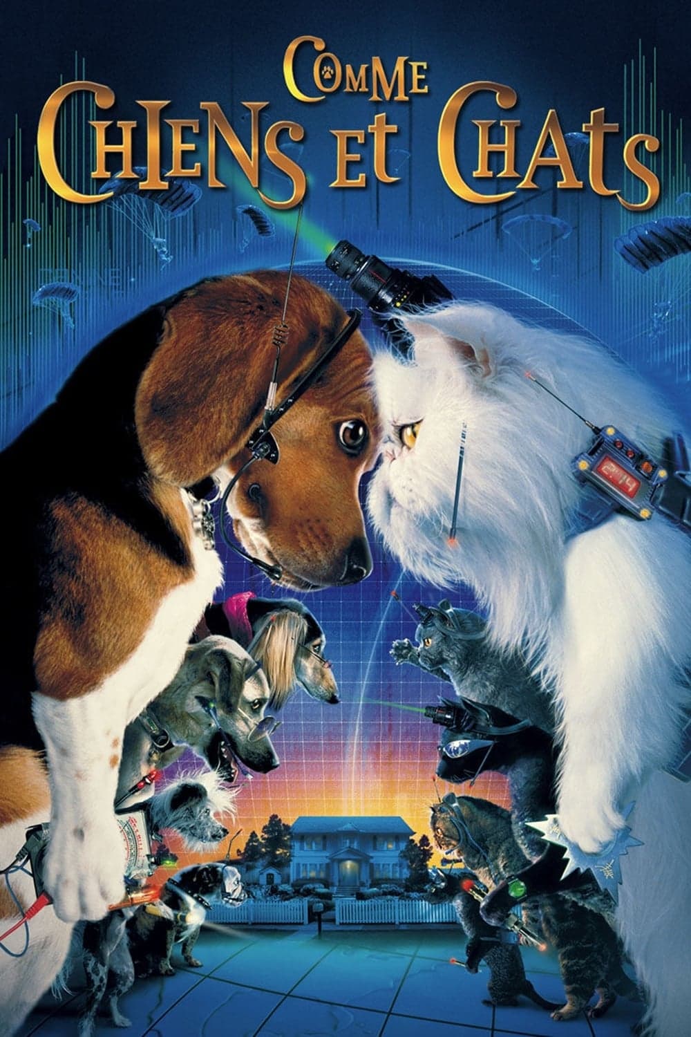 Cats & Dogs - Memory Image