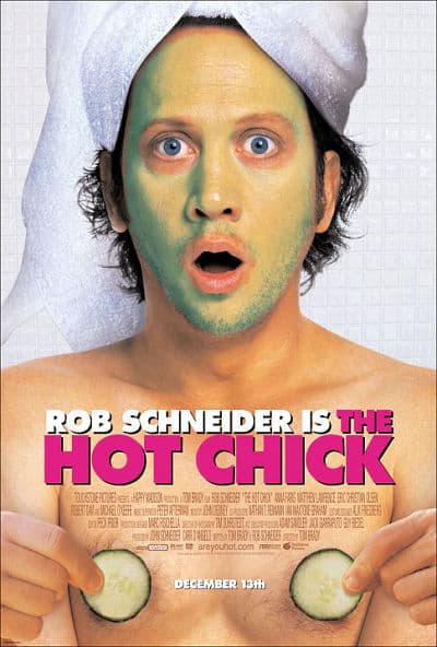 The Hot Chick - Cover