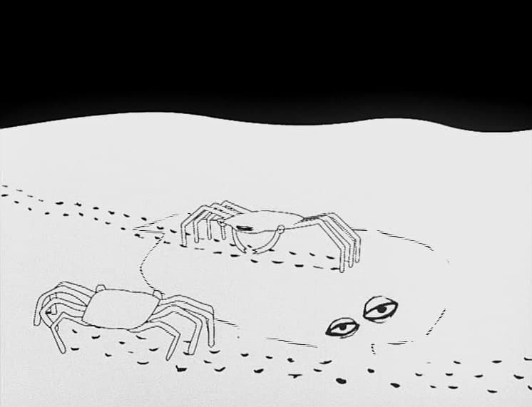 The Crab Revolution