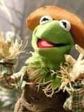 Le Magicien d'Oz des Muppets - Cover
