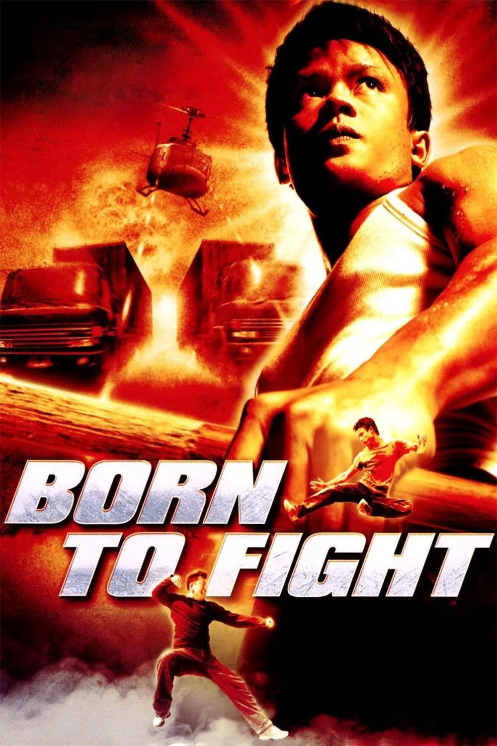 Born to Fight - Cover