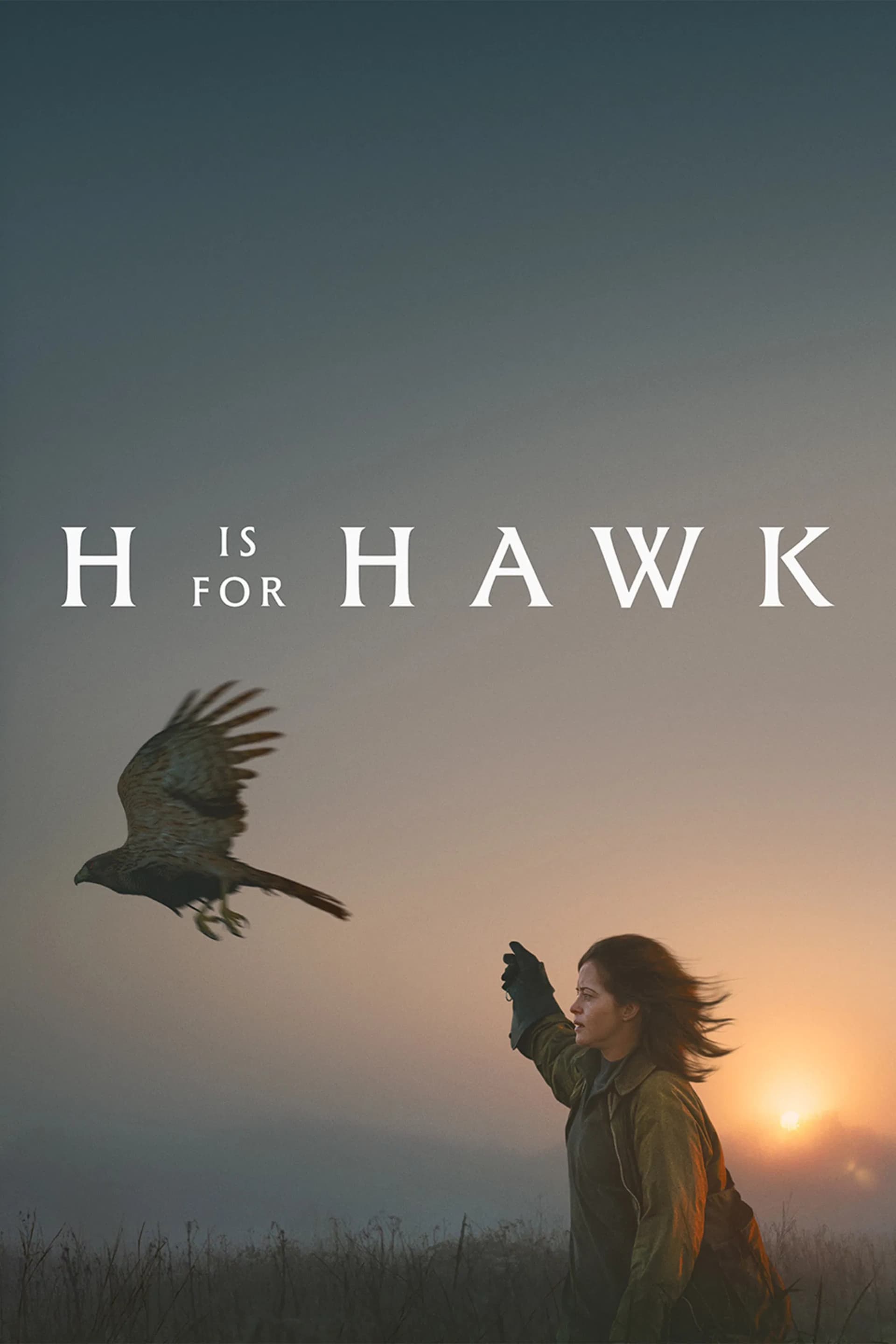 H Is for Hawk - Cover