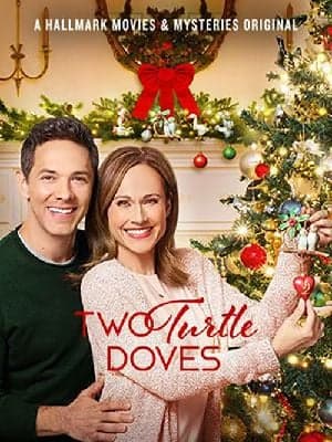 Les 12 traditions de Noël - Cover