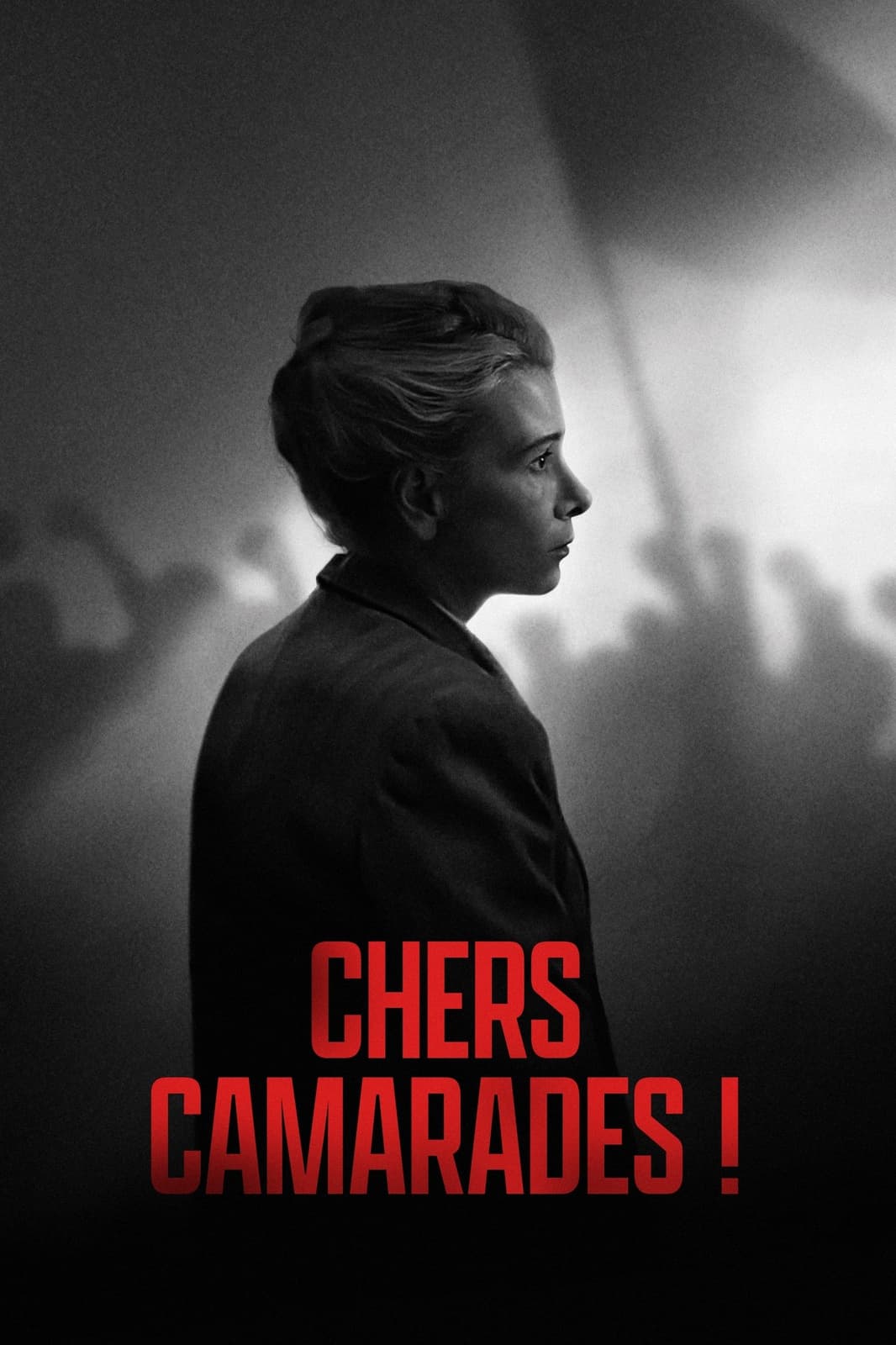Chers camarades!