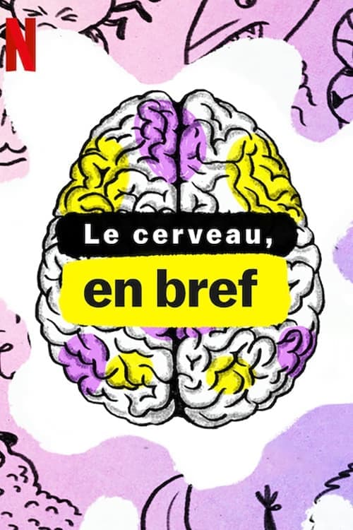 Le cerveau, en bref - Cover