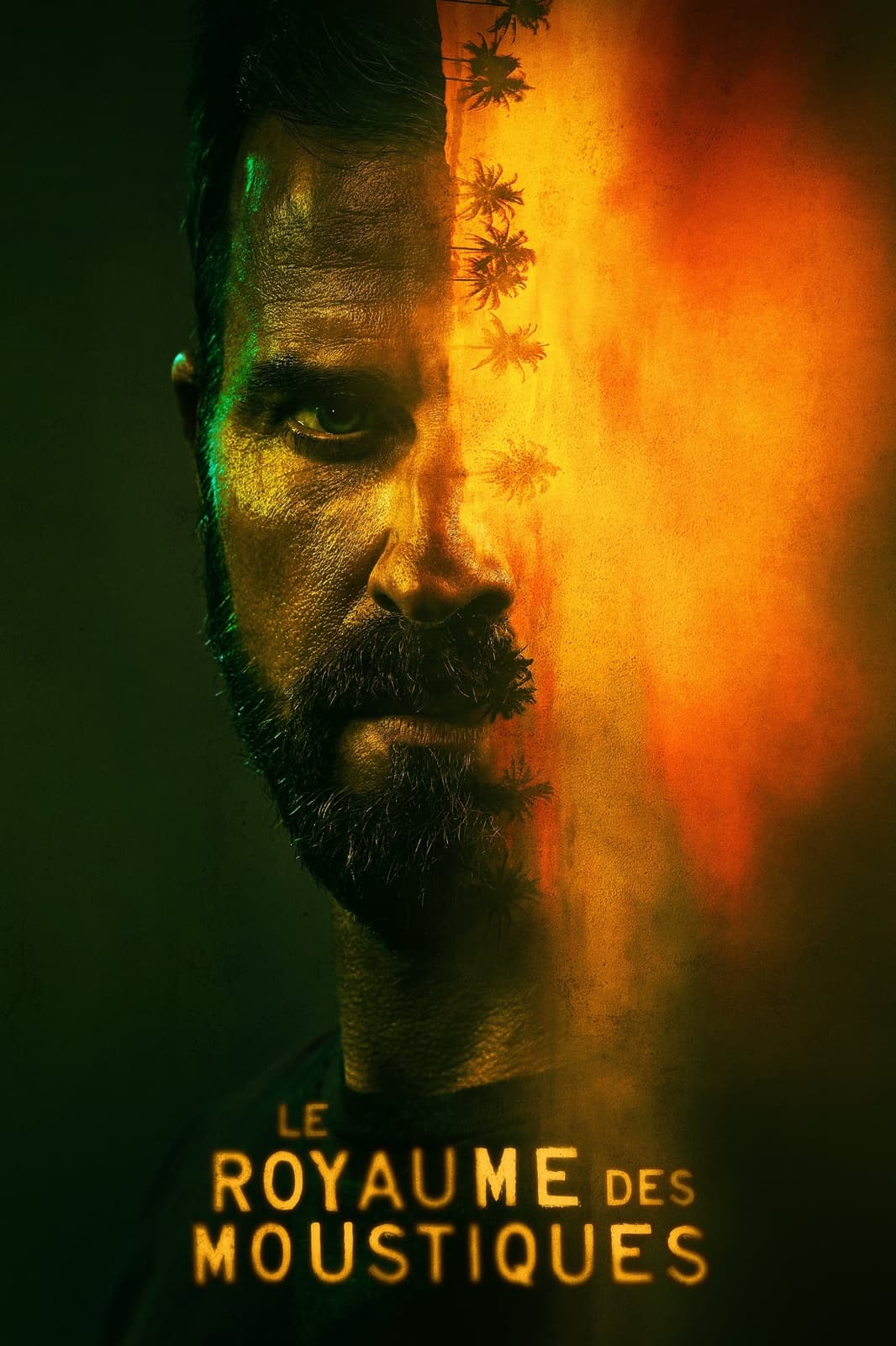 Mosquito Coast - Cover