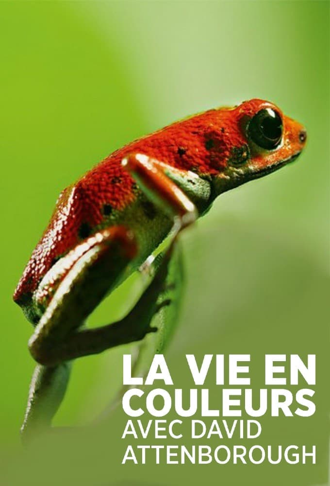 La vie en couleurs avec David Attenborough - Cover