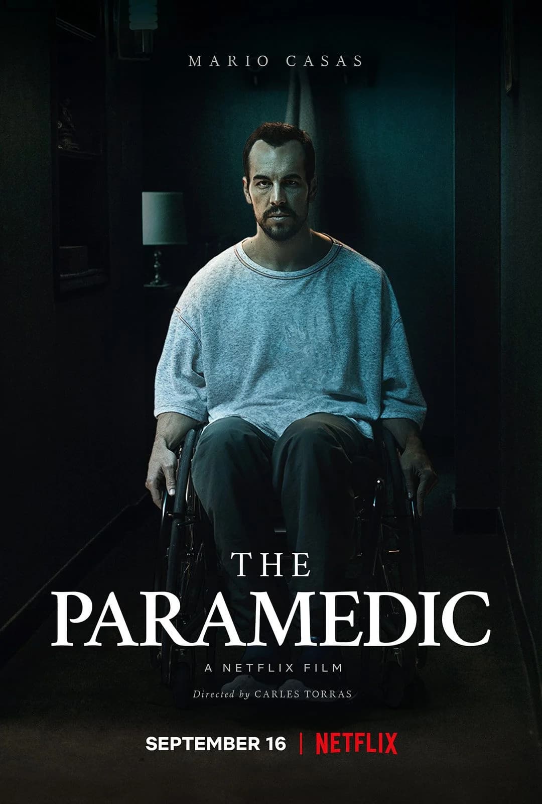 Irrémédiable - Cover