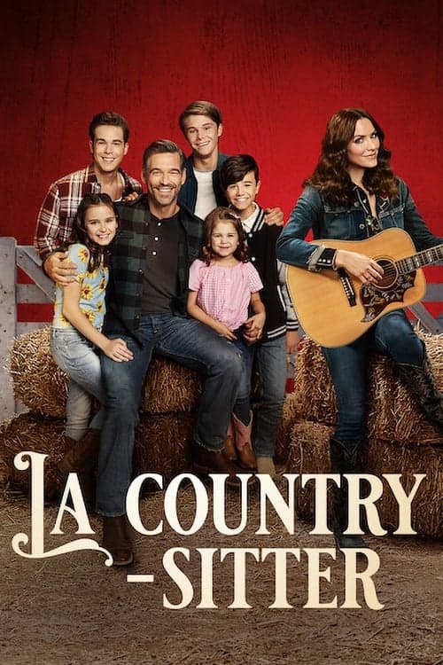 La country-sitter - Cover