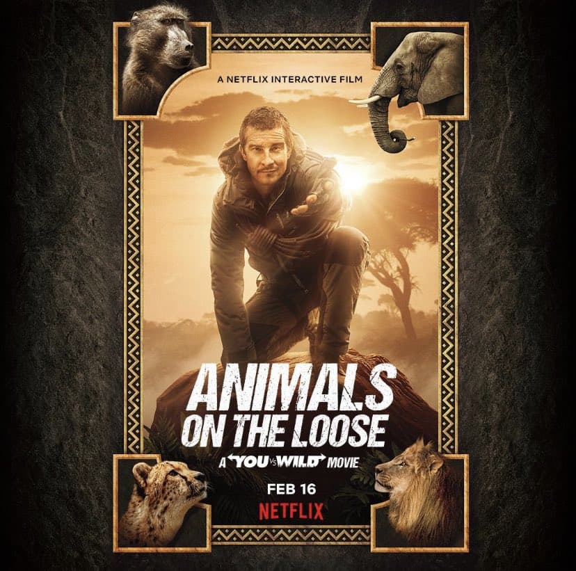 Animals on the Loose: A You vs. Wild Movie - Cover