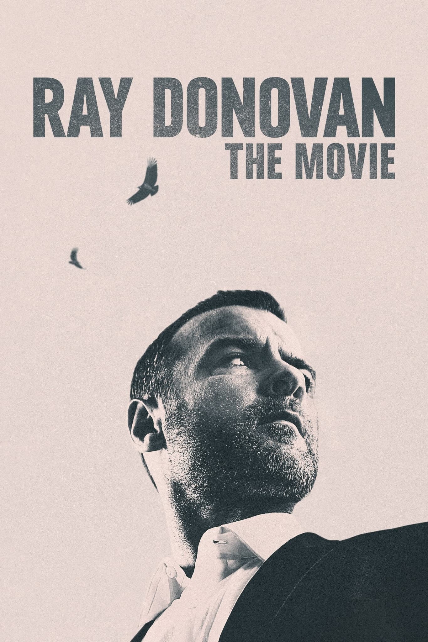Ray Donovan: The Movie - Cover