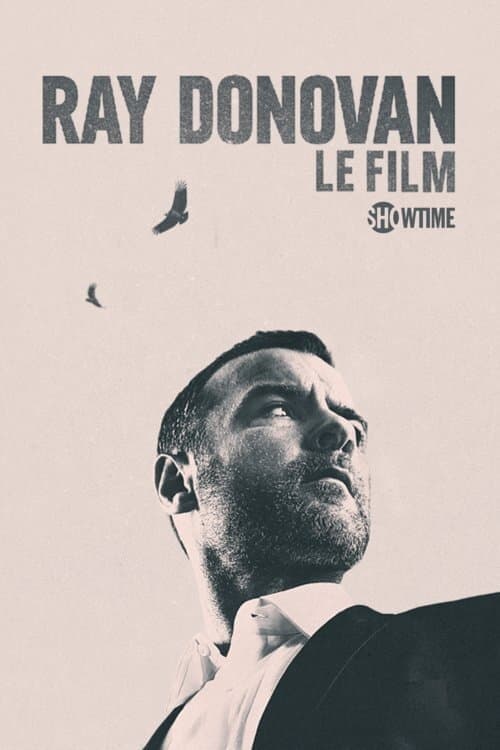 Ray Donovan Le film - Cover
