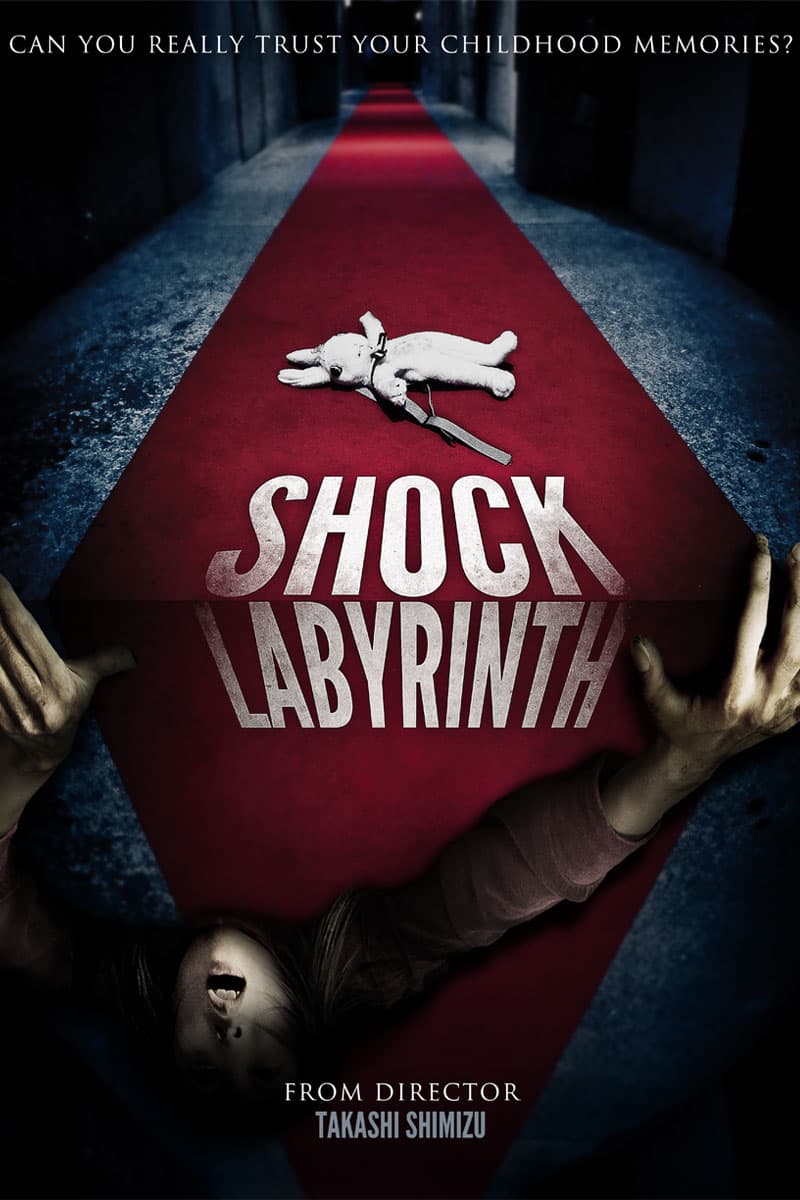 The Shock Labyrinth 3D - Cover
