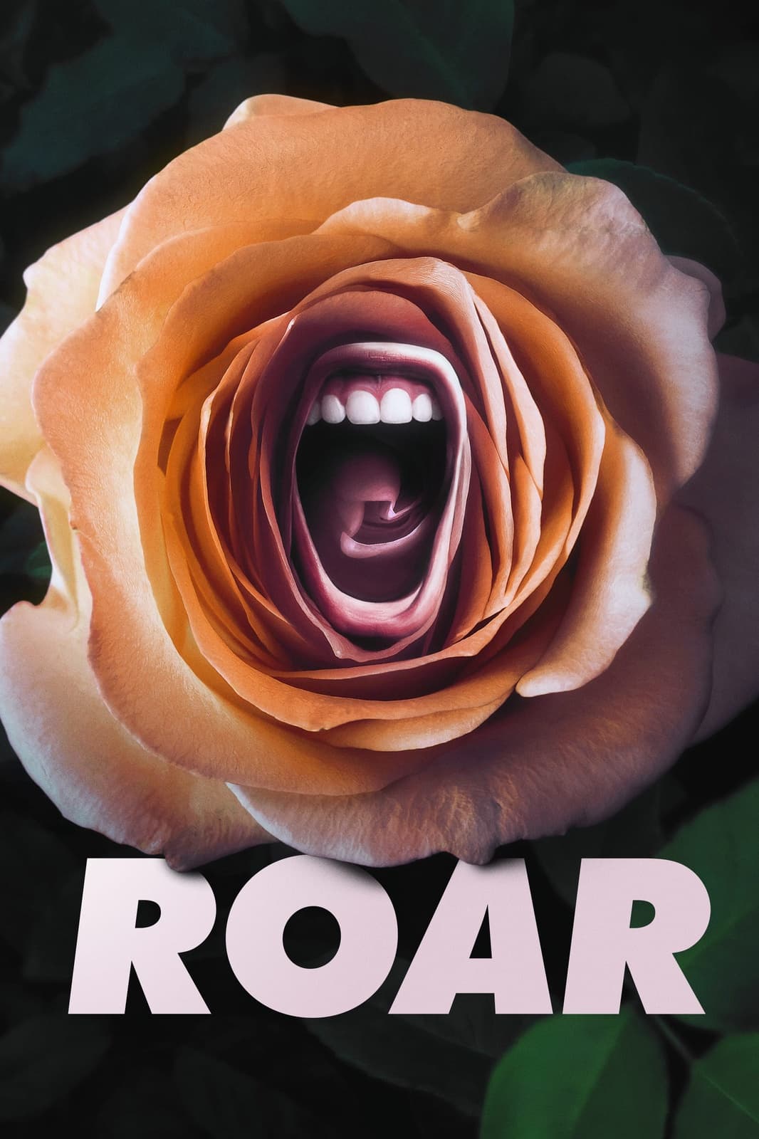 Roar - Cover