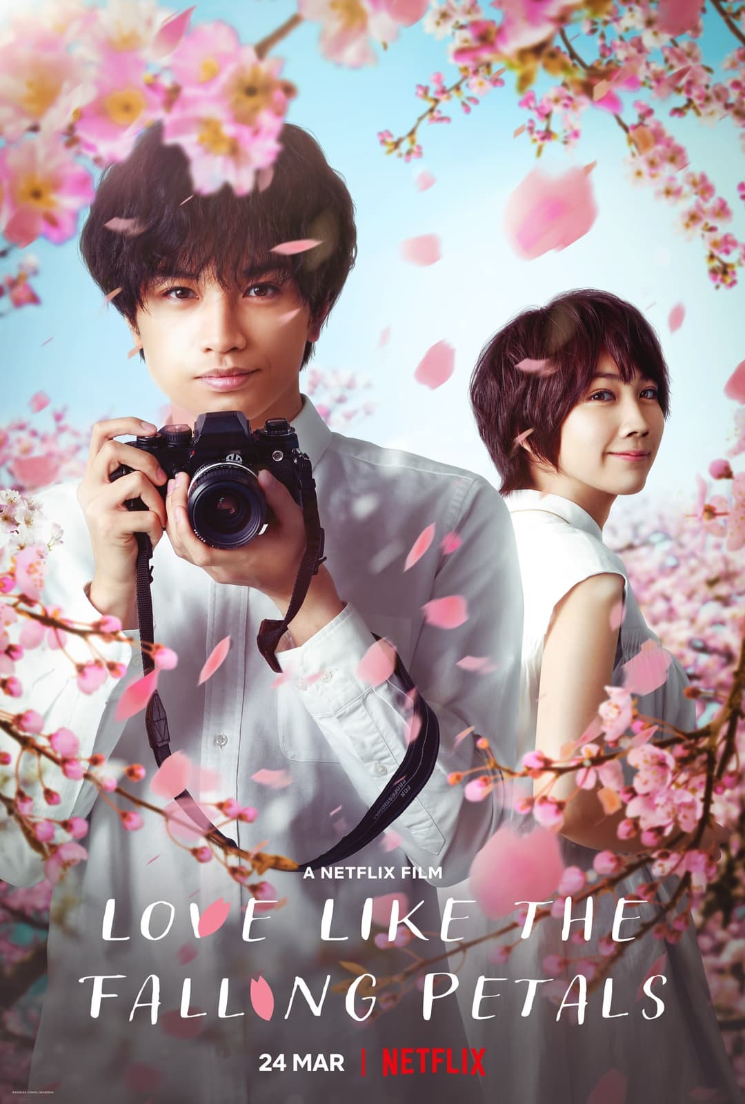 Love Like the Falling Petals - Cover
